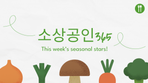 AI전문가 과정